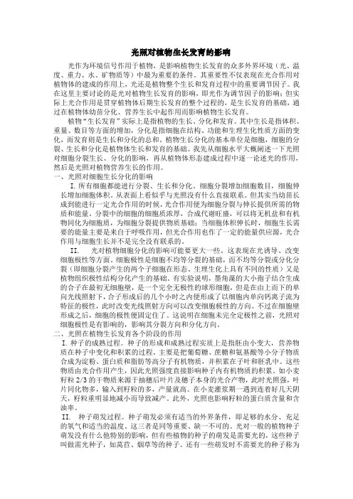 光照对植物生长发育的影响