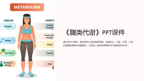 《脂类代谢》课件
