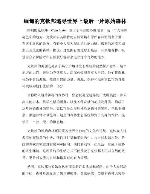 缅甸的克钦邦追寻世界上最后一片原始森林