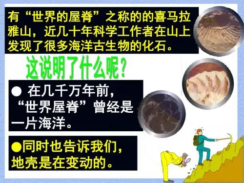浙教版七年级科学上册3.4地壳变动和火山地震(共28张PPT)
