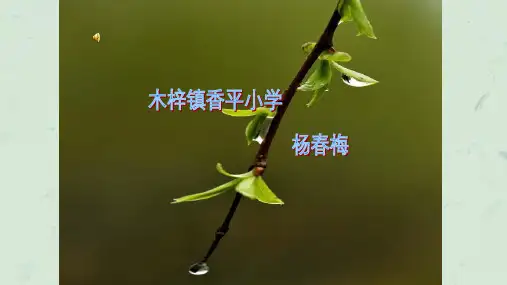 《春夜喜雨》诗配图欣赏课件