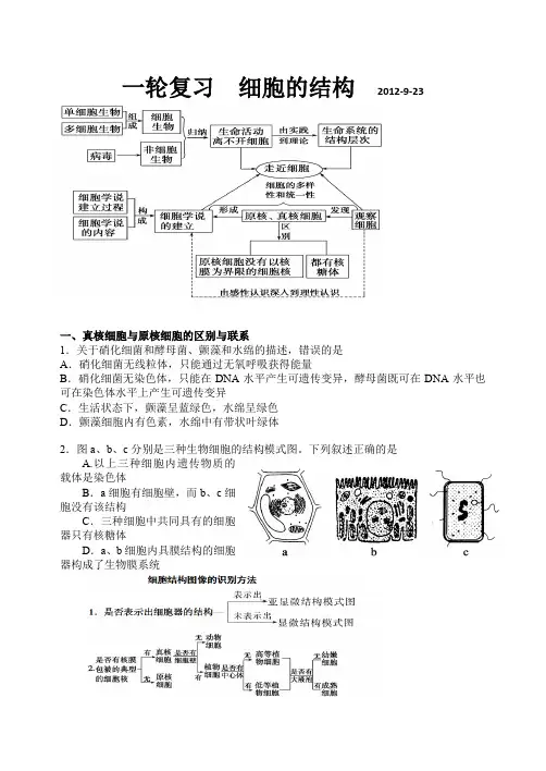 真核细胞与原核细胞的区别与联系 (自动保存的)