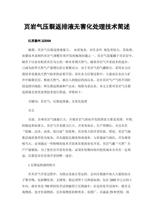 页岩气压裂返排液无害化处理技术简述