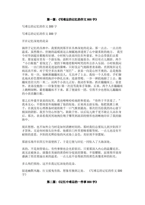 难忘的记忆作文800字