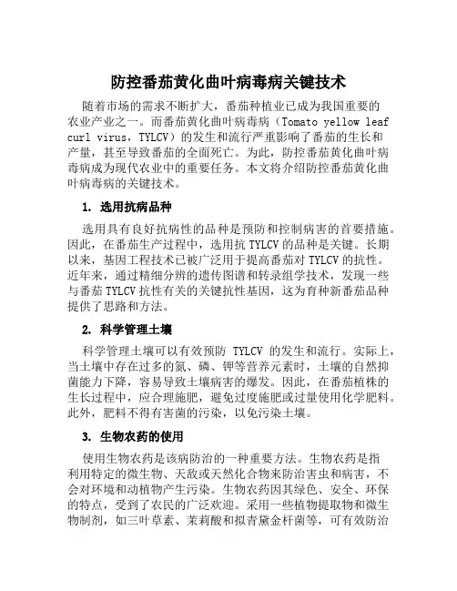防控番茄黄化曲叶病毒病关键技术