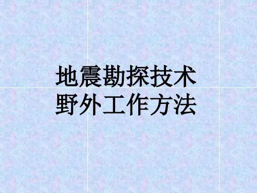 地震勘探技术野外工作方法反射波法,折射波法