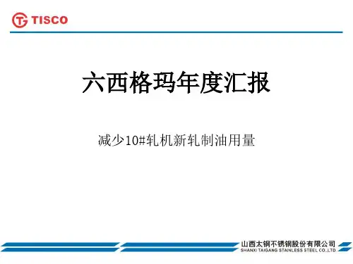 六西格玛报告