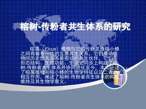 榕树