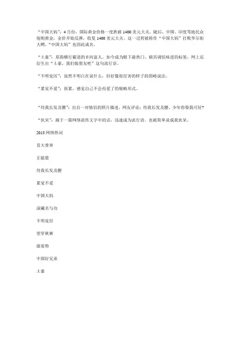 2013网络热词