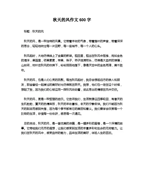 秋天的风作文600字