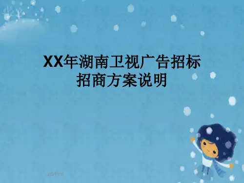 XX年湖南卫视广告招标招商方案说明