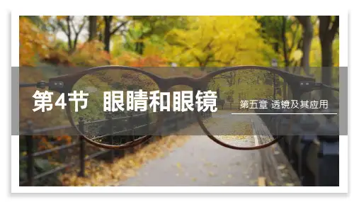 眼睛和眼镜PPT课件(人教版)(24页)