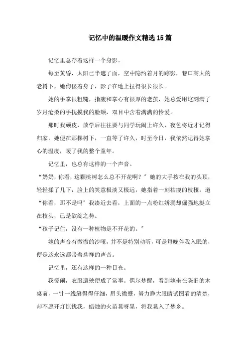 记忆中的温暖作文精选15篇精选