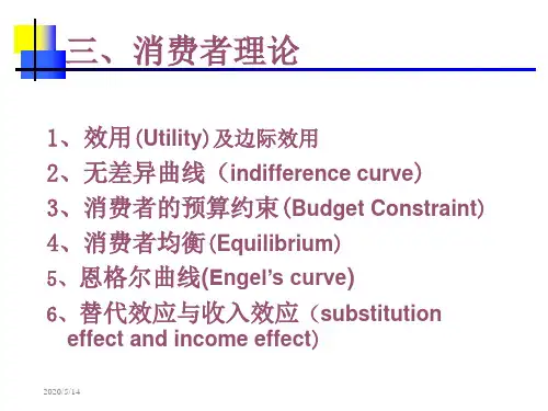 微观经济消费平衡等