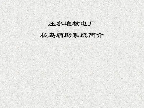 压水堆核电厂核岛辅助系统简介part1