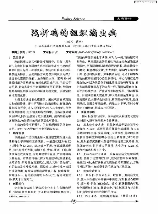 浅析鸡的组织滴虫病