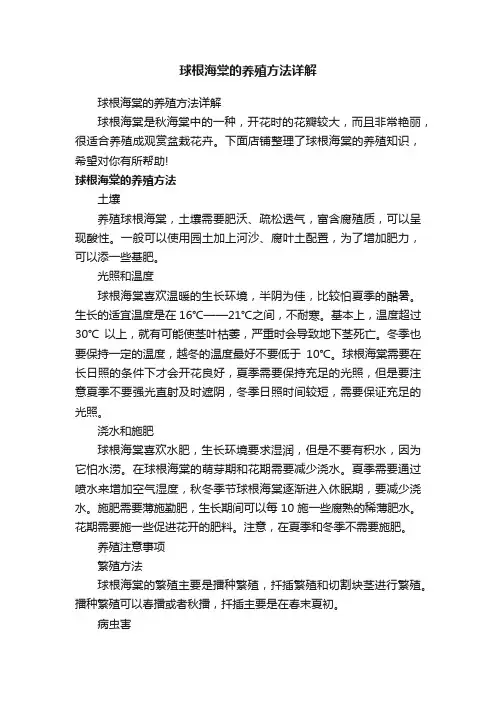 球根海棠的养殖方法详解