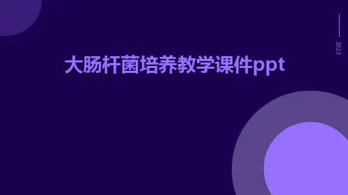 大肠杆菌培养教学课件ppt