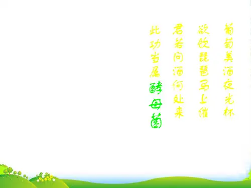 人教版高中生物选修一课件：1.1果酒和果醋的制作2