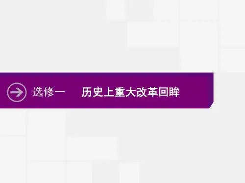 2018高考历史人教版第一轮复习课件：选修1.1 古代史上的改革