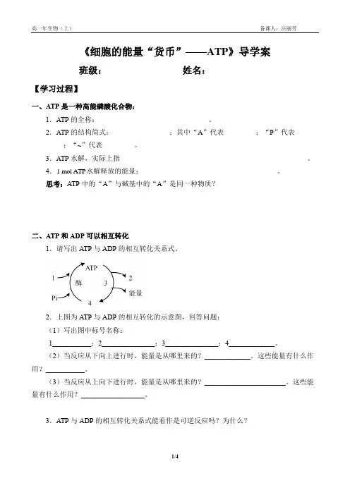 (学案)细胞的能量“货币”--ATP