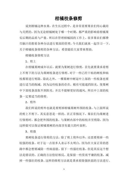 柑橘枝条修剪