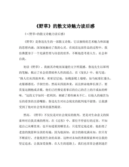 《野草》的散文诗魅力读后感