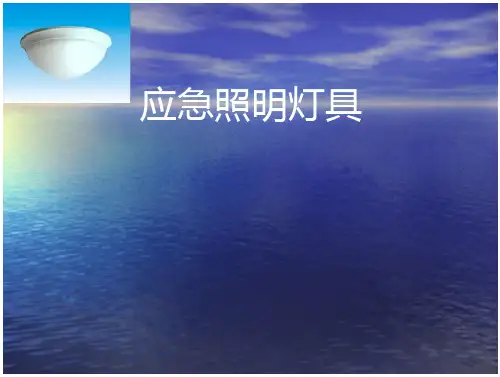 应急照明灯及疏散指示标志