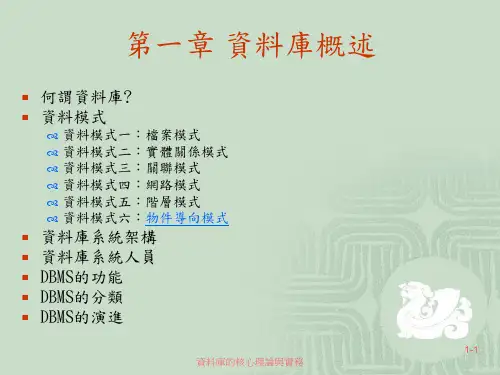 资料库概述PPT课件