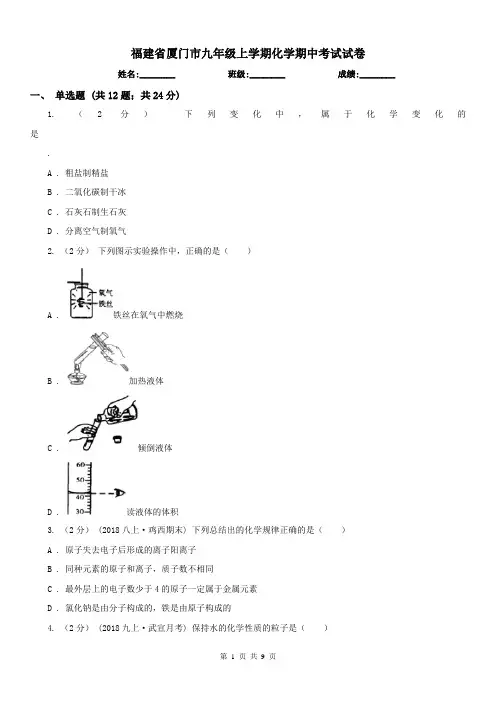 福建省厦门市九年级上学期化学期中考试试卷
