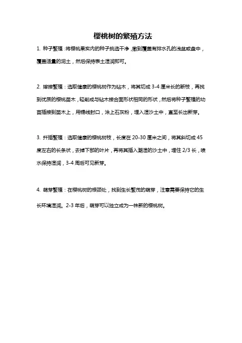 樱桃树的繁殖方法