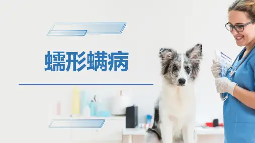 犬猫的寄生虫病(蠕形螨病)-宠物医生课件
