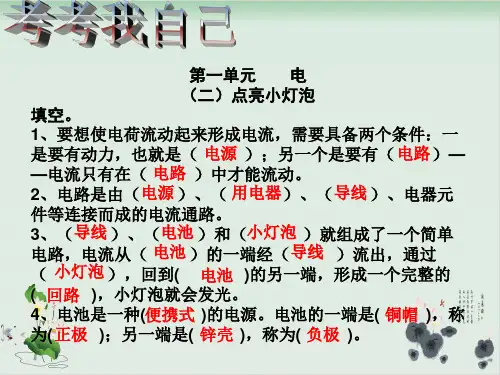 四年级下册科学课件简单电路教科版(共13张PPT)