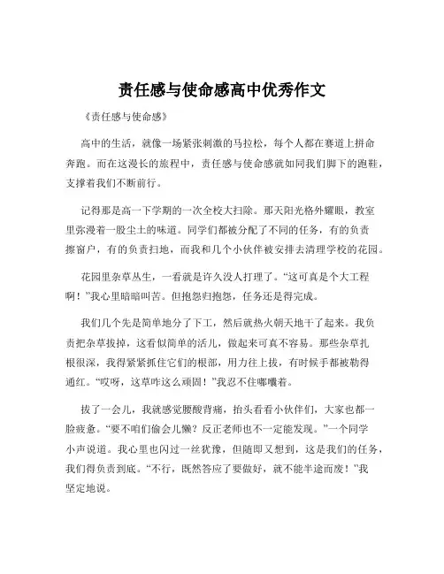 责任感与使命感高中优秀作文