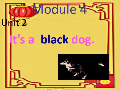 三年级英语上册 module 4 unit 2 it’s a black dog课件3