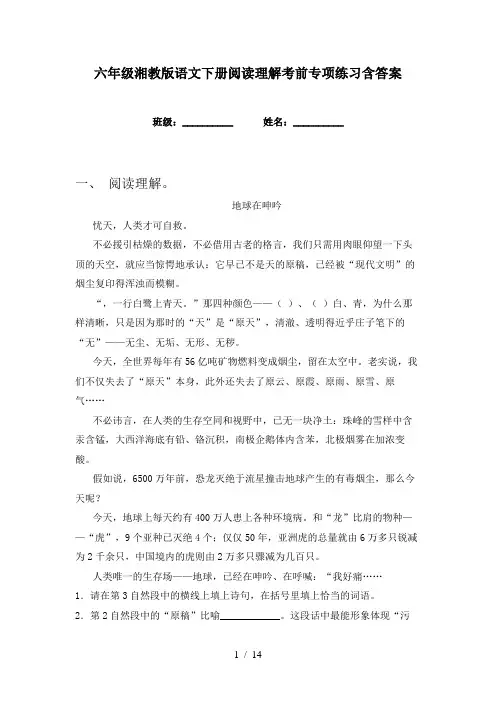 六年级湘教版语文下册阅读理解考前专项练习含答案