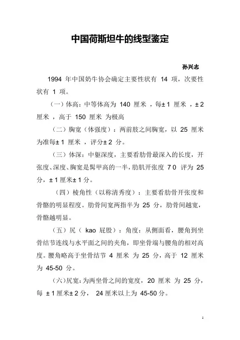 中国荷斯坦牛的线型鉴定