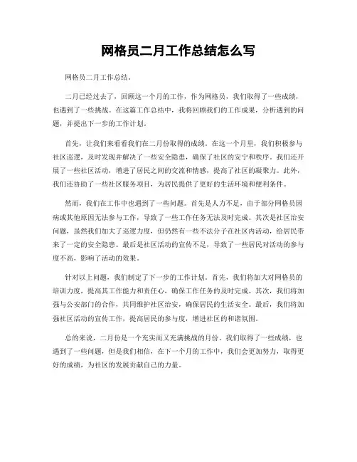 网格员二月工作总结怎么写