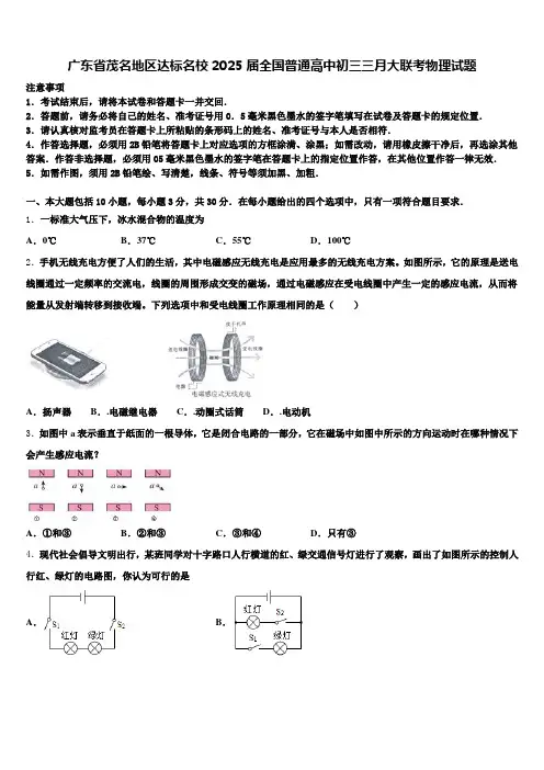广东省茂名地区达标名校2025届全国普通高中初三三月大联考物理试题含解析