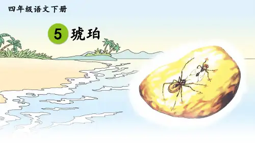 部编版小学四年级语文下册第5课《琥珀》精品课件