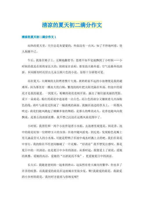 清凉的夏天初二满分作文