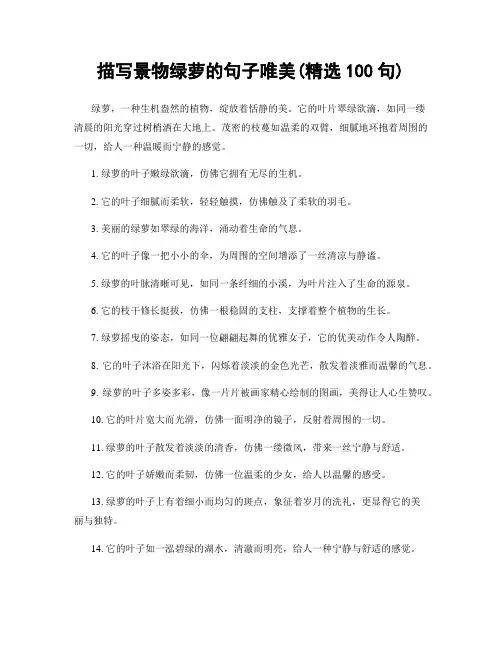 描写景物绿萝的句子唯美(精选100句)