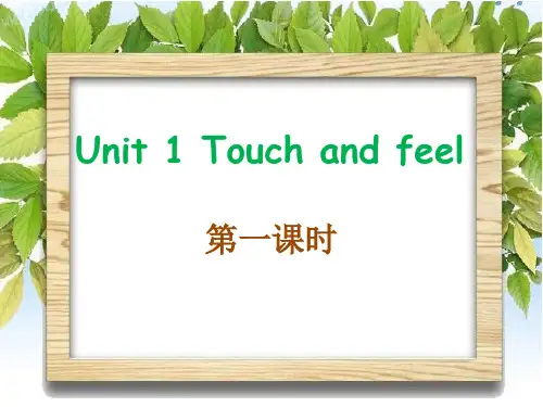 《Touch and feel》教材课件PPT