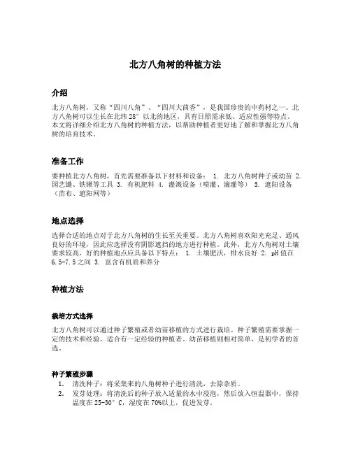 北方八角树的种植方法