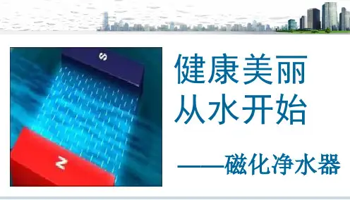 磁化水