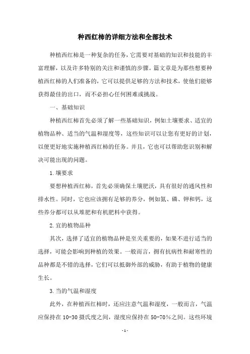 种西红柿的详细方法和全部技术