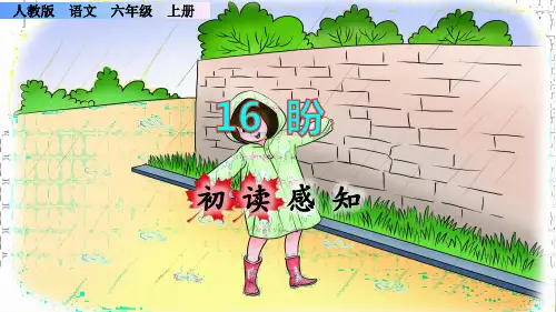 《盼》课件PPT(完美版)六年级上册语文部编