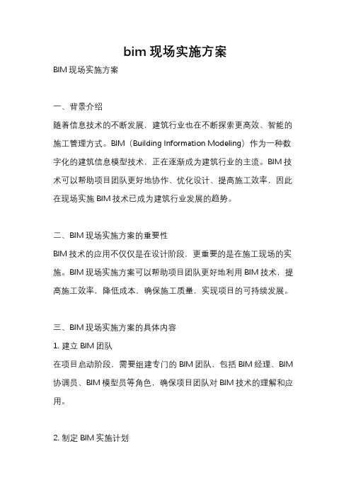 bim现场实施方案