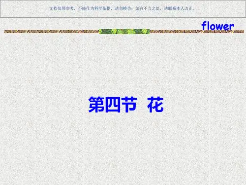 植物的器官花课件