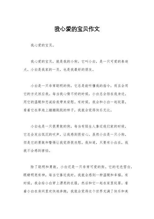 我心爱的宝贝作文